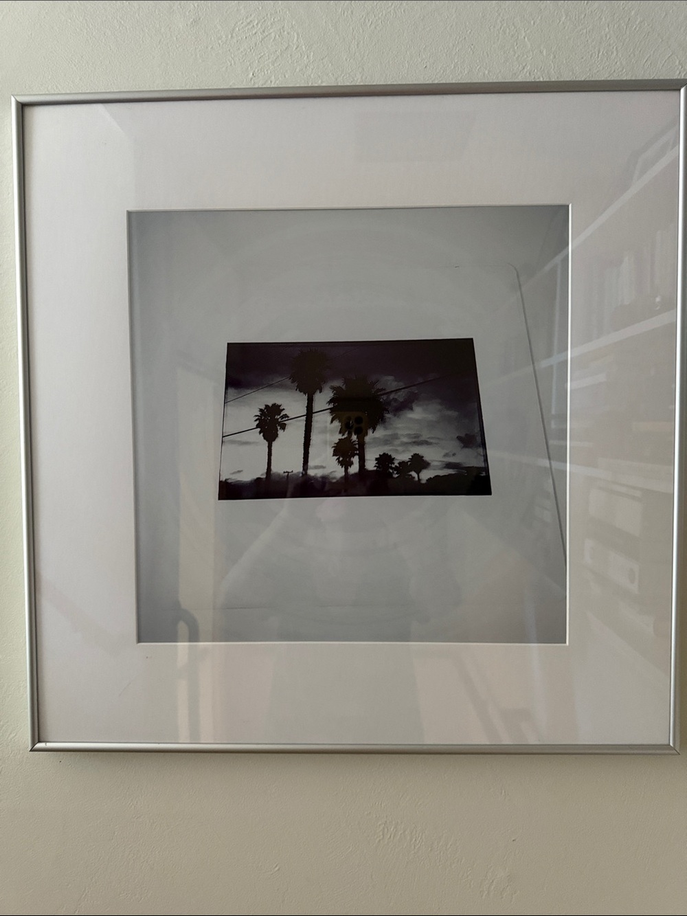 Framed Palm Tree Wall Art in Silver Frame